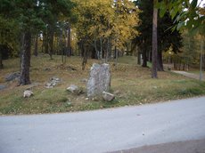 IMGP1482.JPG