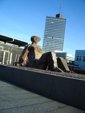 IMGP3040.JPG
