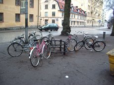 IMGP3061.JPG