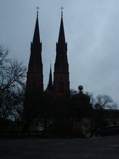 IMGP3064.JPG