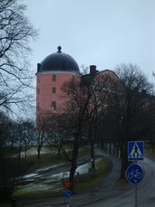 IMGP3104.JPG