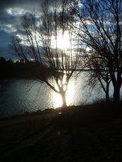 IMGP3148.JPG