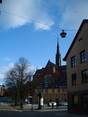 IMGP3178.JPG