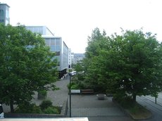 IMGP3768.JPG