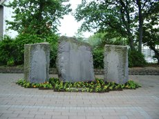IMGP3772.JPG