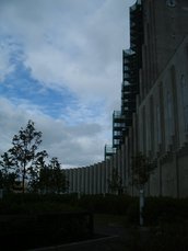 IMGP3802.JPG