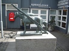 IMGP3839.JPG