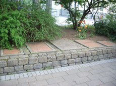 IMGP3862.JPG