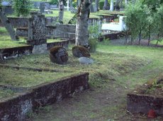 IMGP3872.JPG