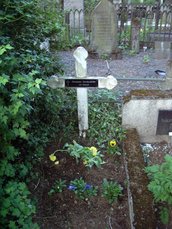 IMGP3876.JPG