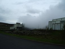 IMGP3891.JPG