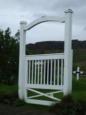 IMGP3951.JPG