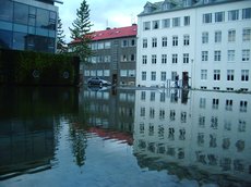 IMGP4194.JPG
