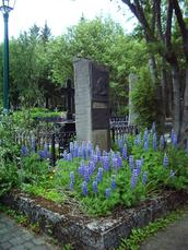 IMGP4197.JPG