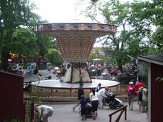 IMGP4289.JPG