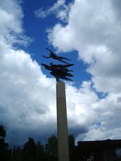 IMGP4488.JPG