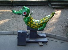 IMGP4698.JPG