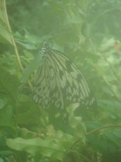 IMGP5342.JPG