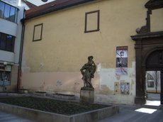 IMGP5677.JPG