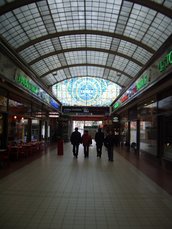 IMGP5684.JPG