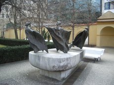 IMGP5687.JPG