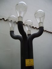 IMGP5689.JPG