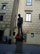 IMGP5740.JPG