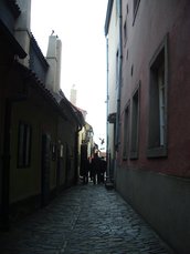IMGP5751.JPG