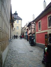 IMGP5753.JPG