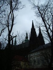 IMGP5761.JPG